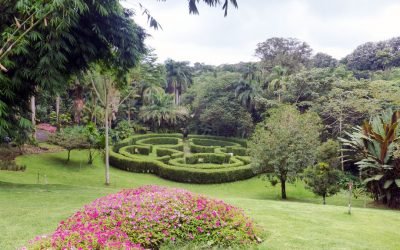 Else Kientzler Botanical Gardens, Sarchí