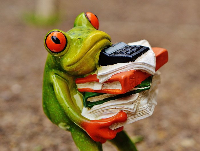 budget-frog-header senior nomad budget header