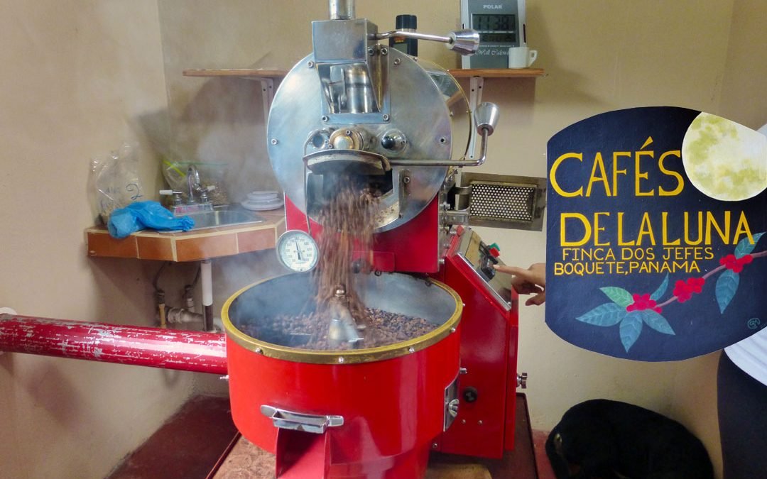 Finca Dos Jefes Coffee Tour, Boquete Panama