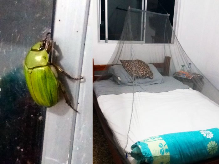 Mosquito net must have for travel – header Mosquito net must have for travel - header