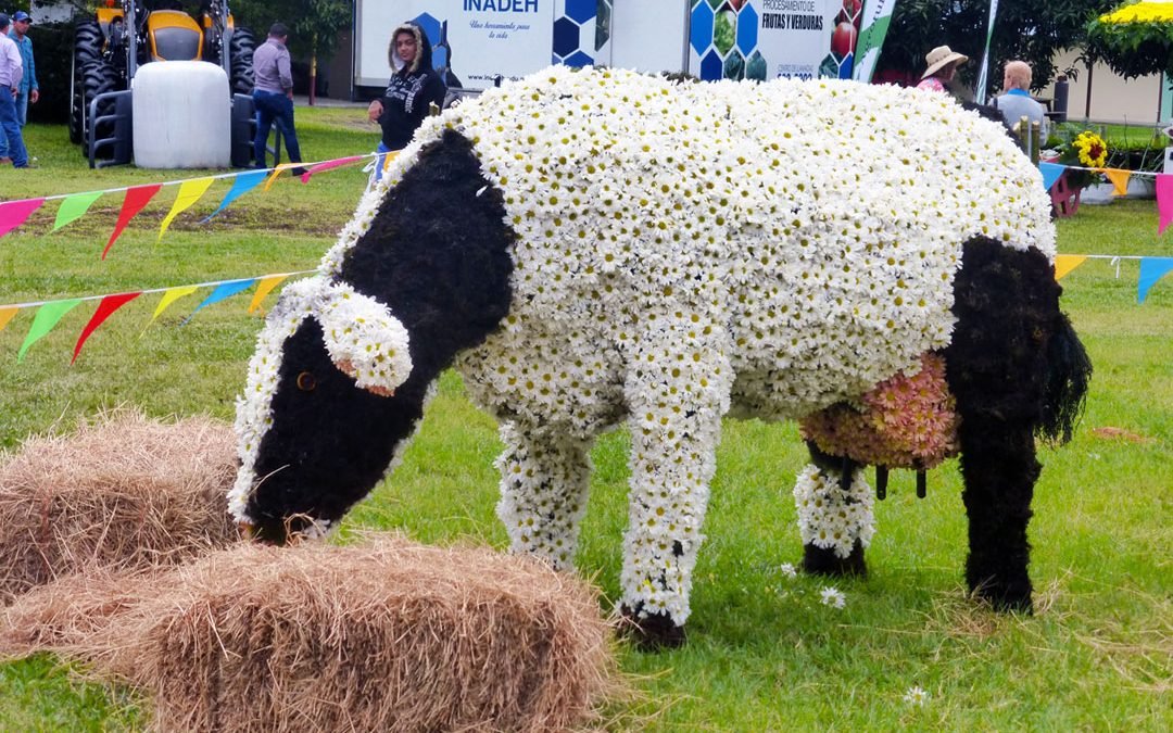 Volcán Panama – Flower Festival