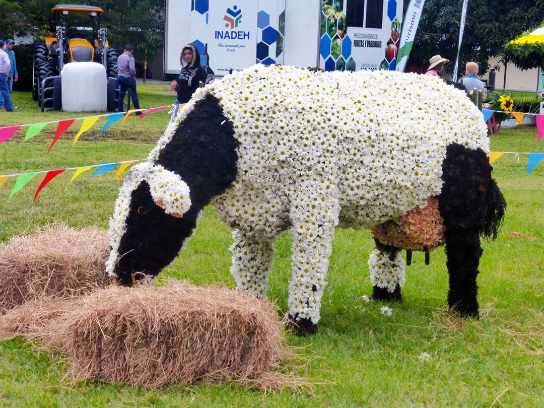 Volcán Panama – Flower Festival